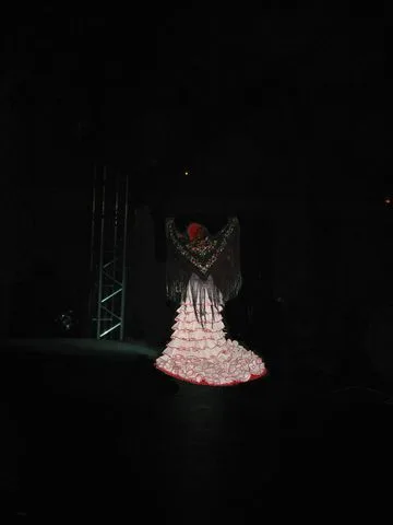 Otras Actuaciones — foto 17